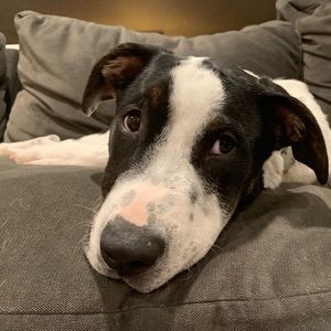 Meet your Posher, Nin